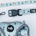 Load image into Gallery viewer, Tropic like it’s hot Adjustable Step- In Harness BUNDLE DEALHarness