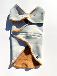 Load image into Gallery viewer, Daisy Dog Jacket