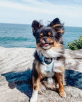 Load image into Gallery viewer, Extra small step in dog harness