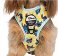 Load image into Gallery viewer, Psychedelic Stitch: Adjustable Harness by Pablo and CoHarness