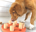Load image into Gallery viewer, Outward Hound Hide, Seek and Treat Dog Puzzle by Nina Ottosson
