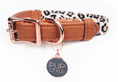 Load image into Gallery viewer, Wild One Collar by Pupstyle Store