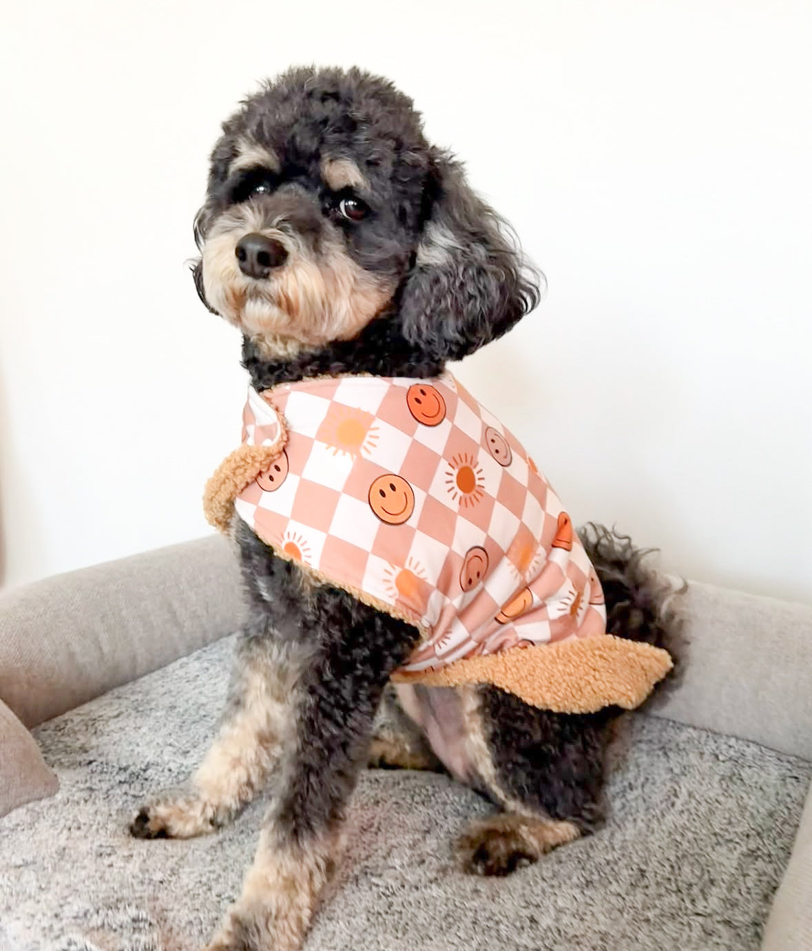 Winter Dog Jackets & Accessories