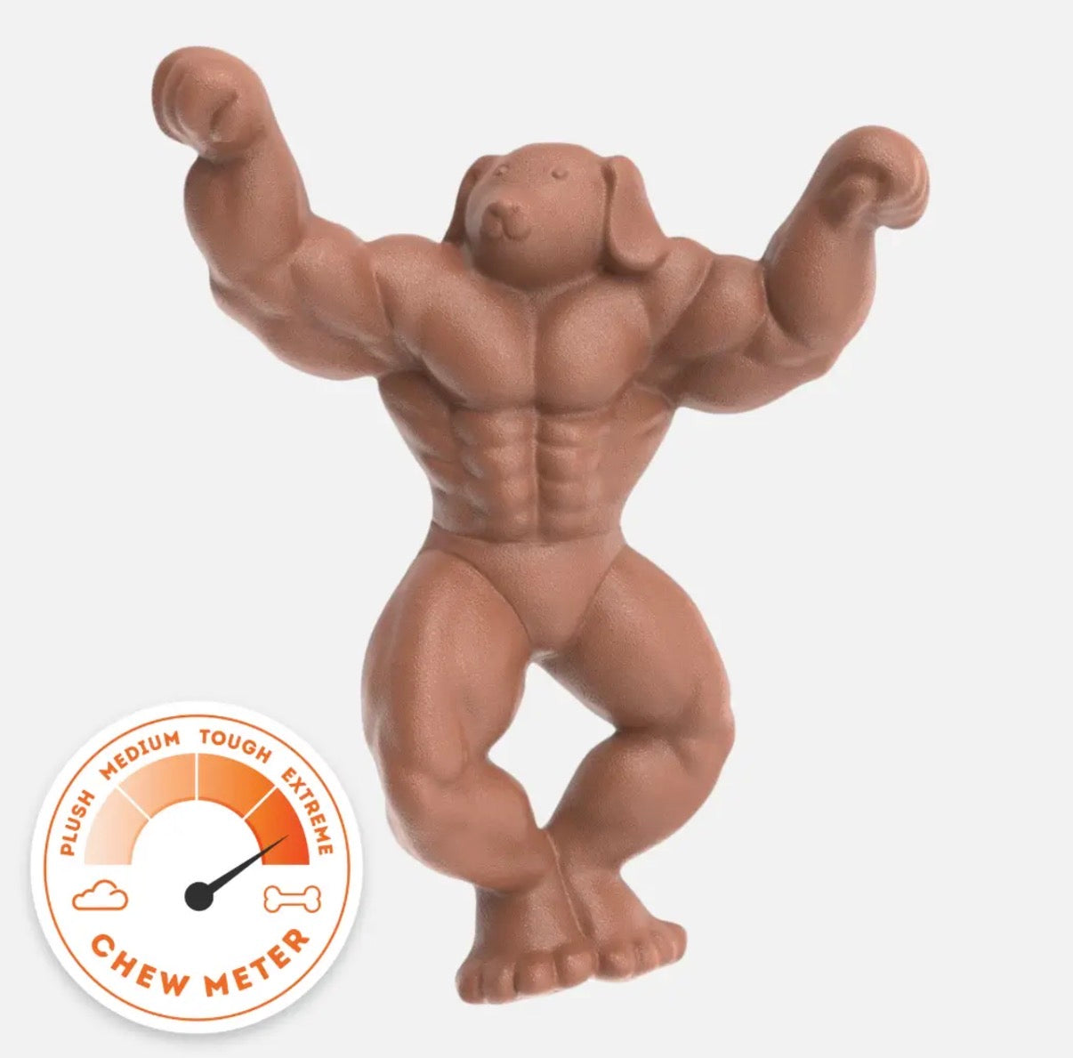 Staffy Schwarzenegger