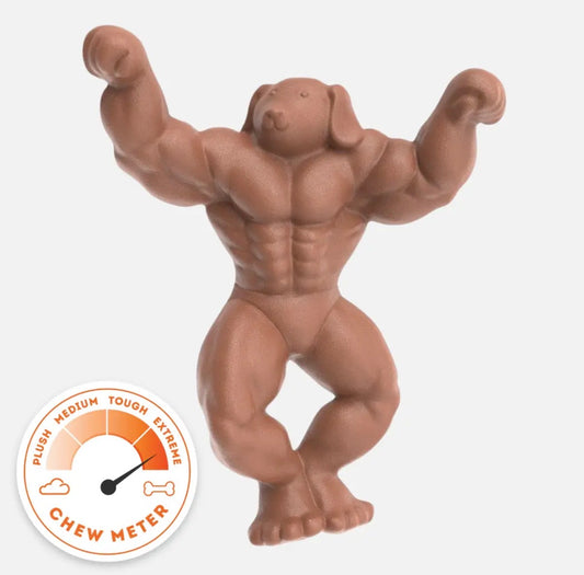 Staffy Schwarzenegger