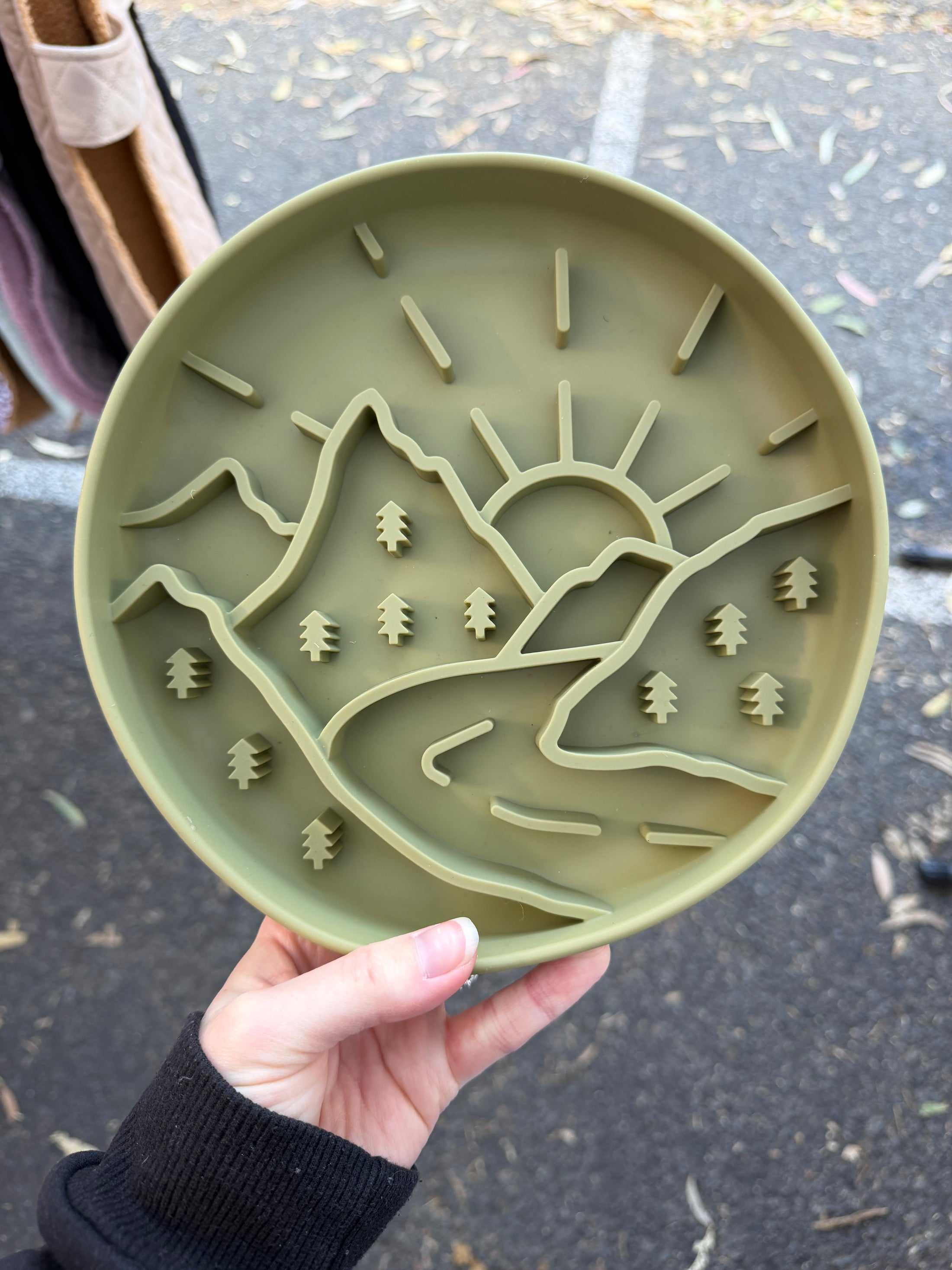 Slow feeder bowl