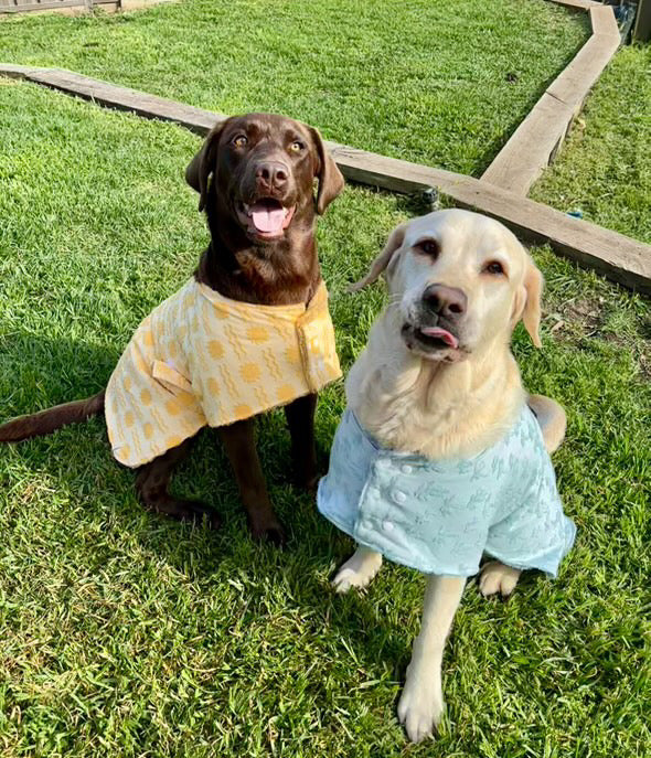 custom towels for large dogs