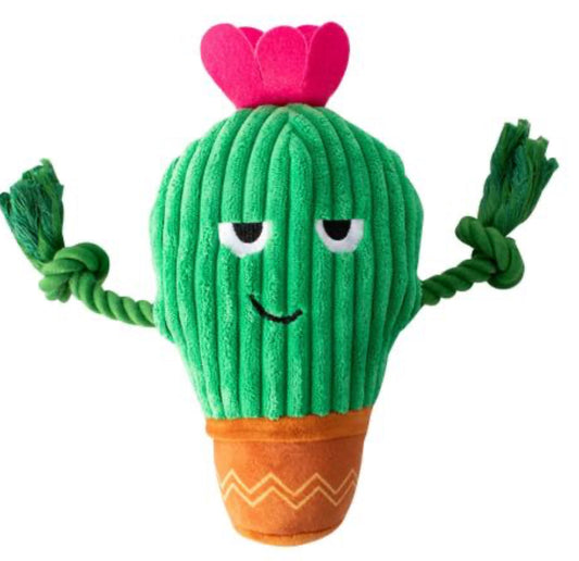 plush cactus toy