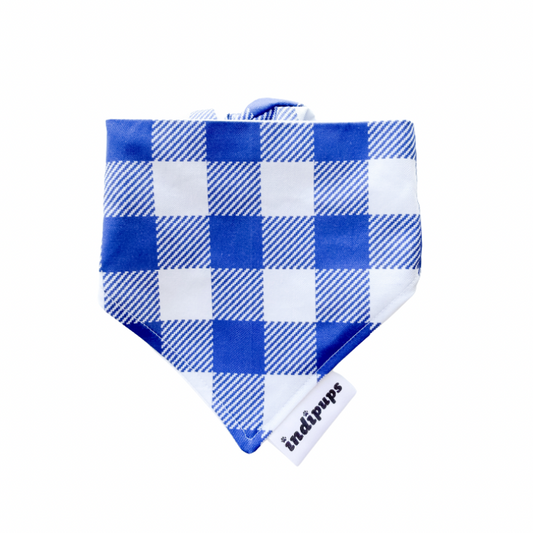 Blue Checks Scrunchdana