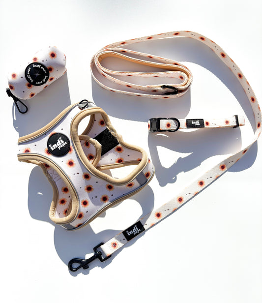 Sunflower Season Adjustable Step- In Harness BUNDLE DEAL