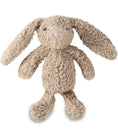 Load image into Gallery viewer, Plush Bunny Toy
