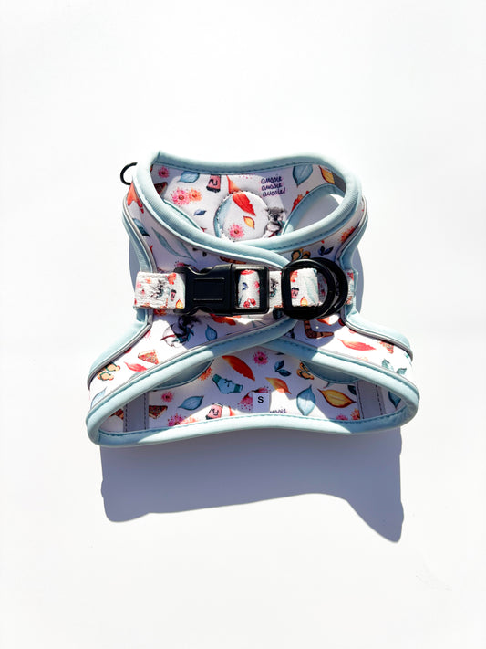 Dog harness with colorful Australian pattern on a white background