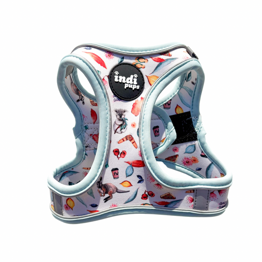 Dog harness with colorful pattern and 'indi pups' branding on a white background