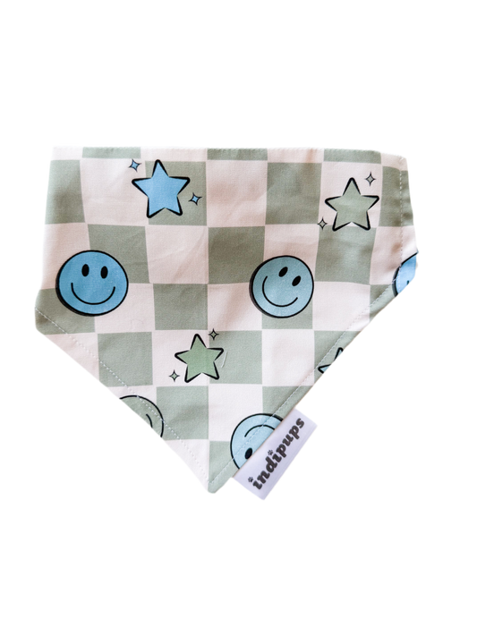 Skater Boy Scrunchdana