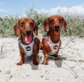 Load image into Gallery viewer, Dogs at the beach in their beach print step in dog harnesses
