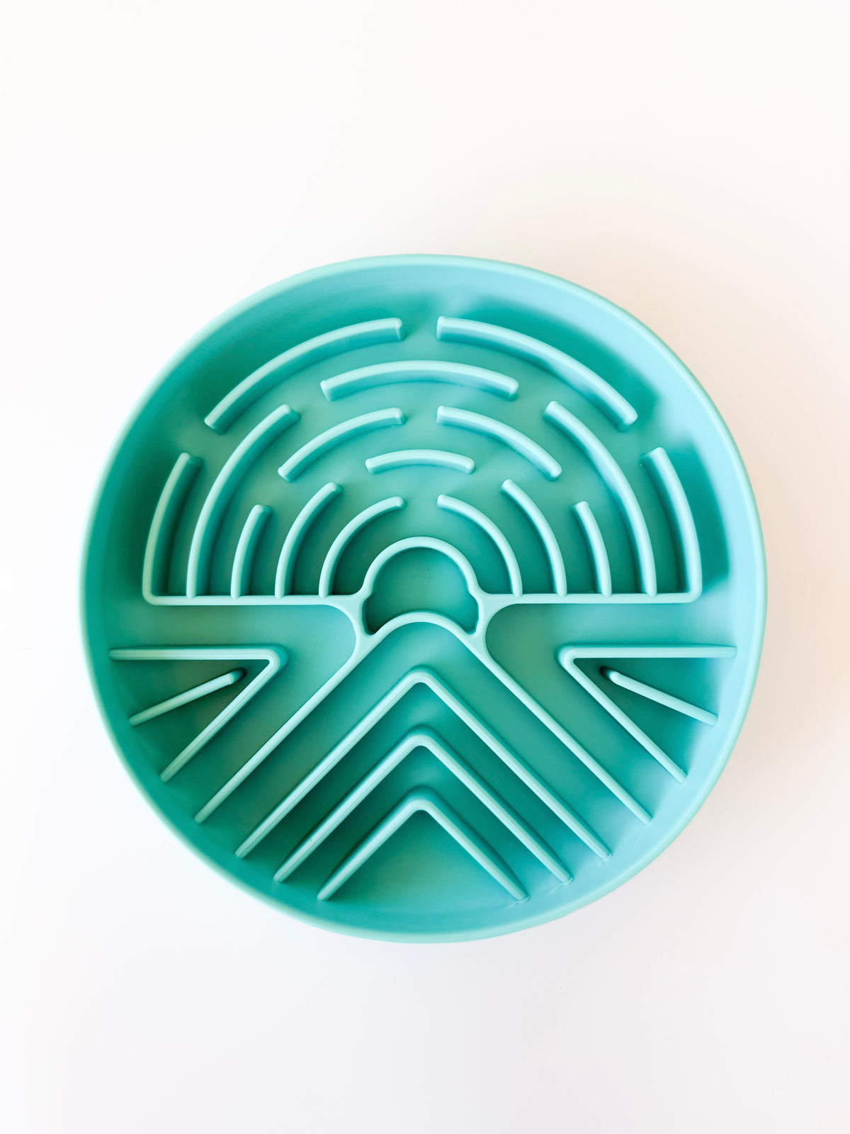 Slow Feeder Bowl