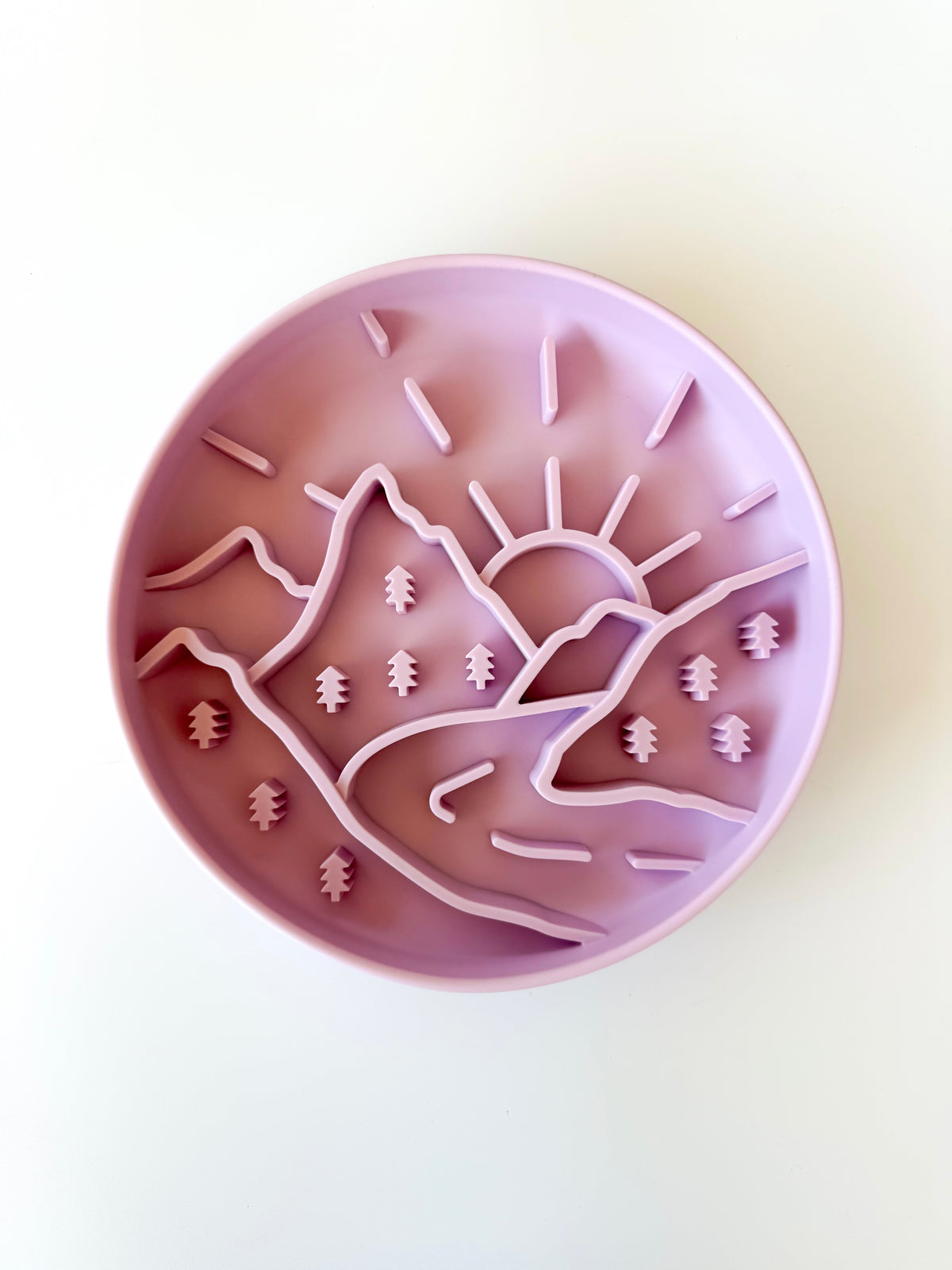 Slow feeder bowl