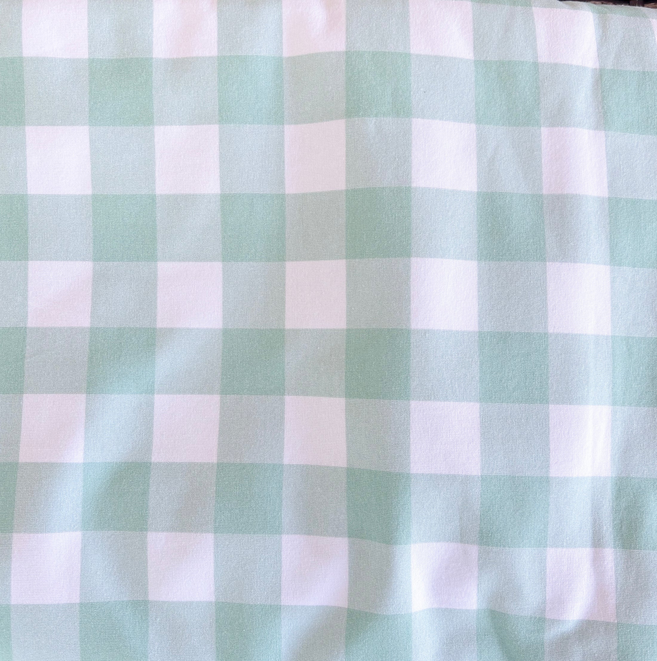 PRE-ORDER Mint Green Gingham Dog Jacket