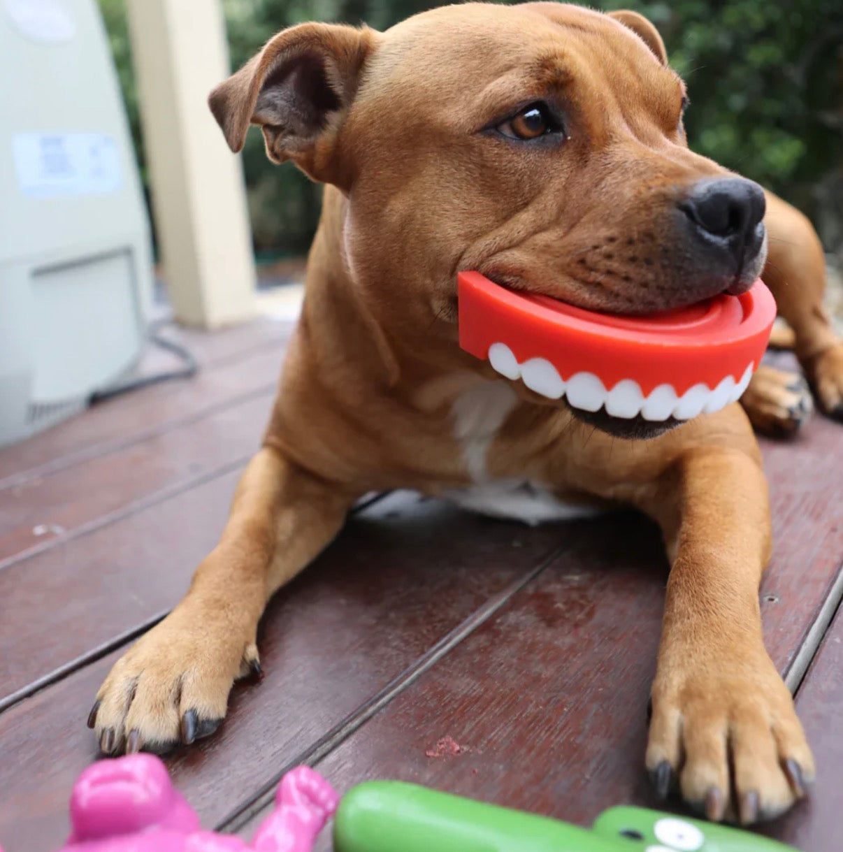 Chatter Chompers