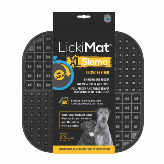 Kong XL Slomo Slow Feeder