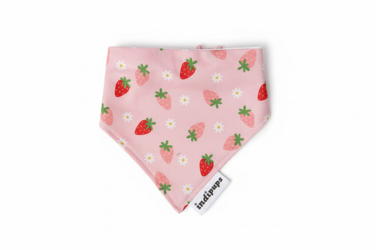 Strawberry Kisses Scrunchdana