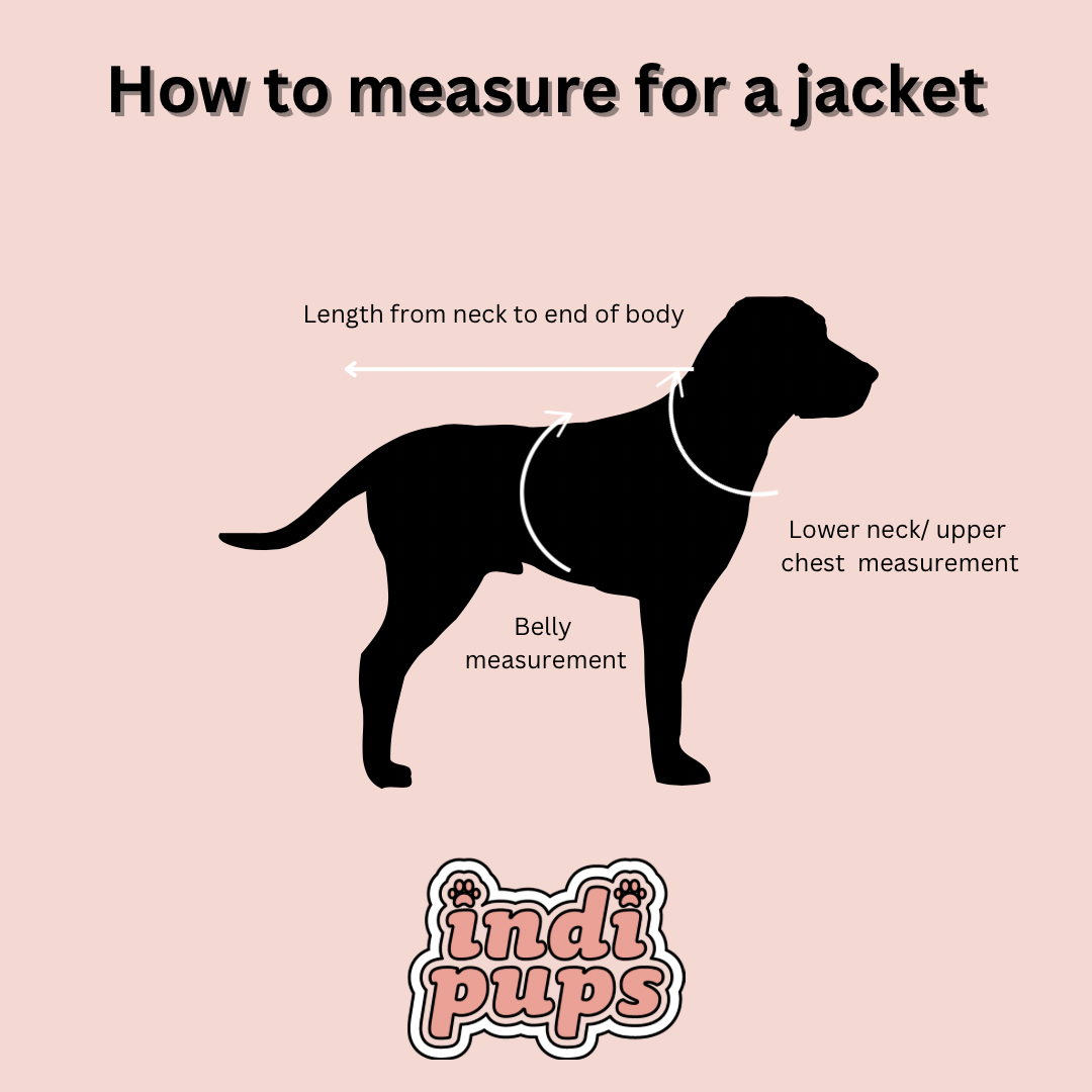 Beige gingham Dog Jacket