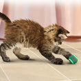 Load image into Gallery viewer, Mini Cat Tennis Balls with Bells
