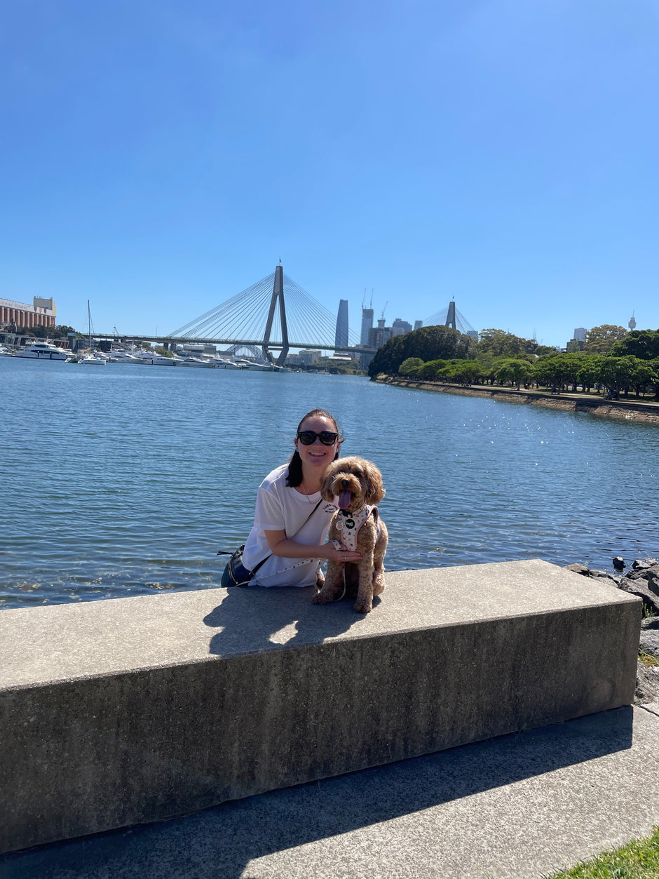 indi pups owner with dog