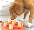 Load image into Gallery viewer, Outward Hound Hide, Seek and Treat Dog Puzzle by Nina Ottosson
