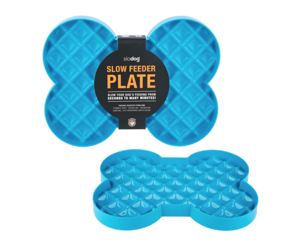 Slow Feeder Plate