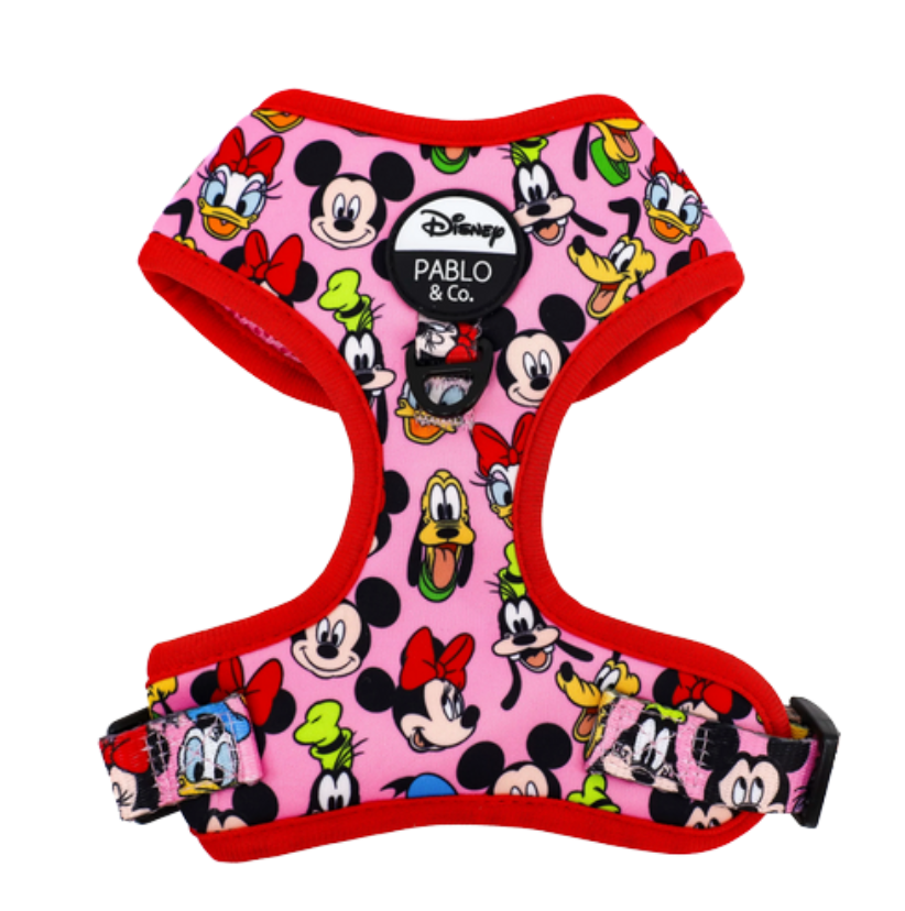 Pink dog harness with cartoon character print on a white background