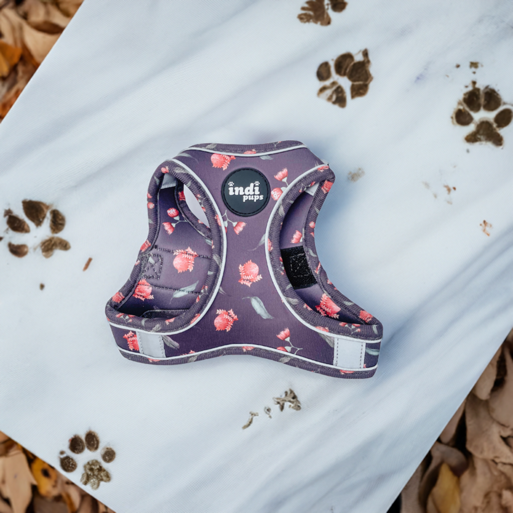 Banksia Bloom Adjustable Step In Dog Harness