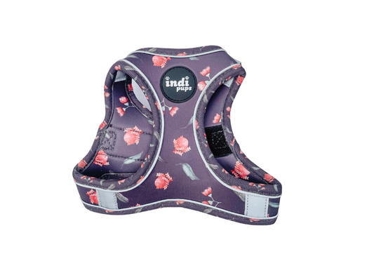 Banksia Bloom Adjustable Step In Dog Harness by Indi Pups